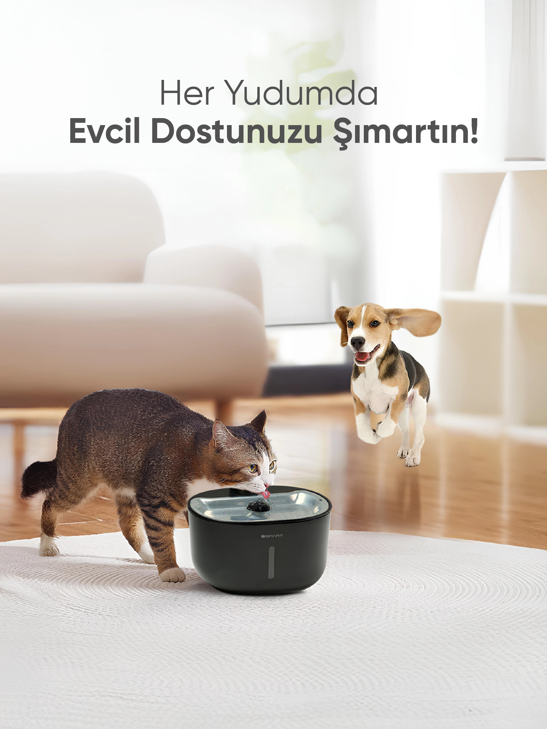 Akıllı Evcil Hayvan Sebili - Robot Süpürge ve Akıllı Ev Sistemleri
